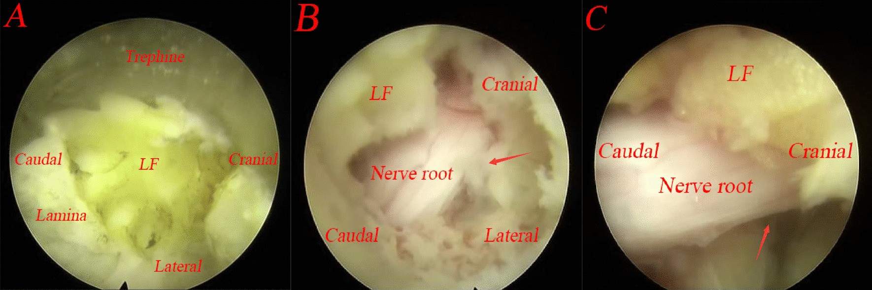 Fig. 5