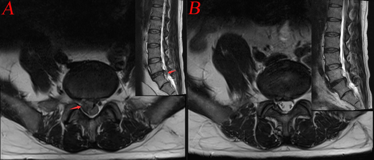 Fig. 8