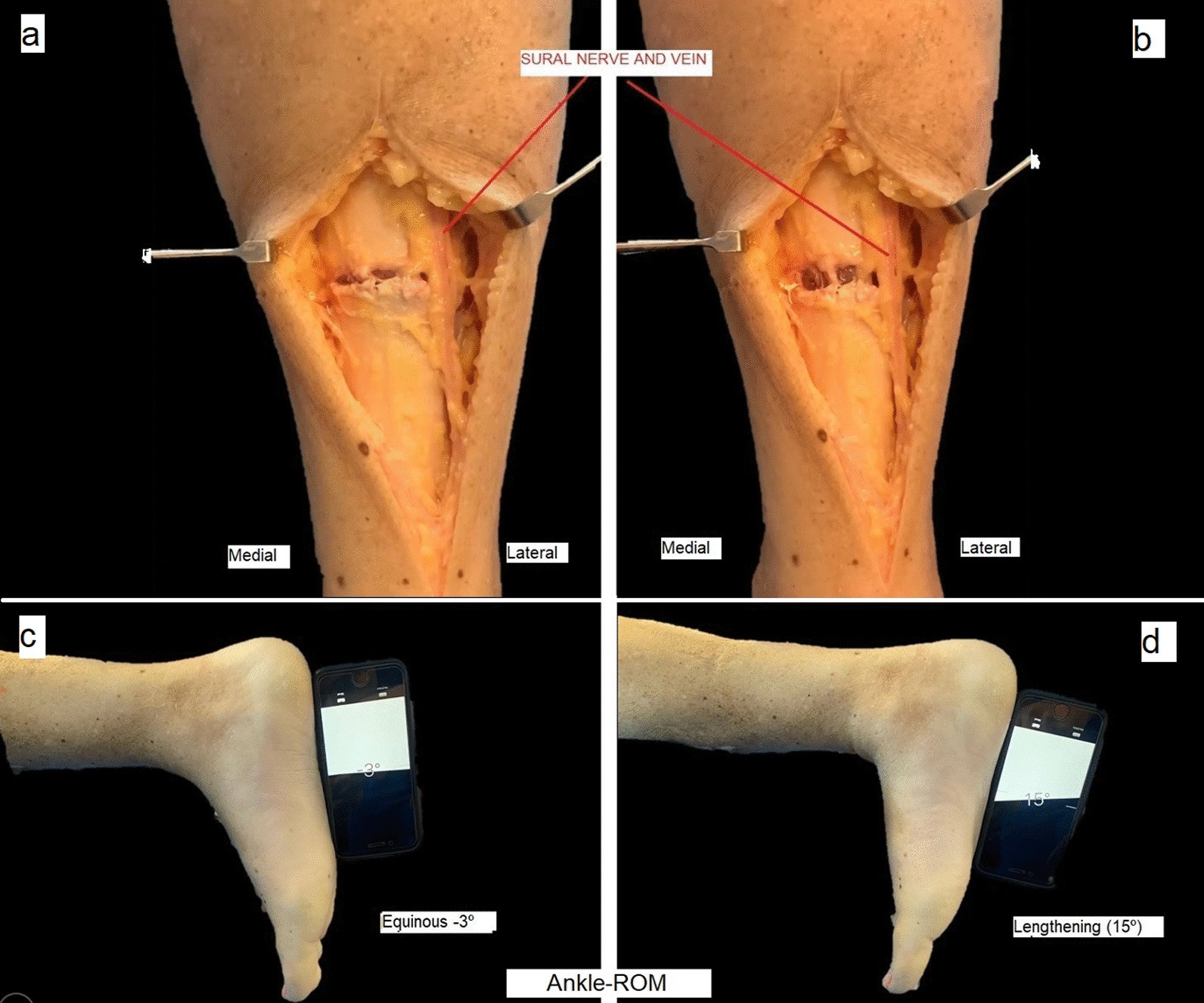 Fig. 5