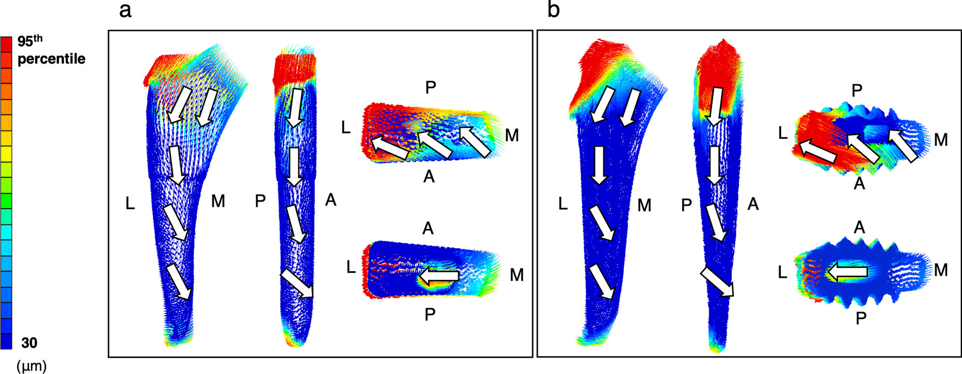 Fig. 7