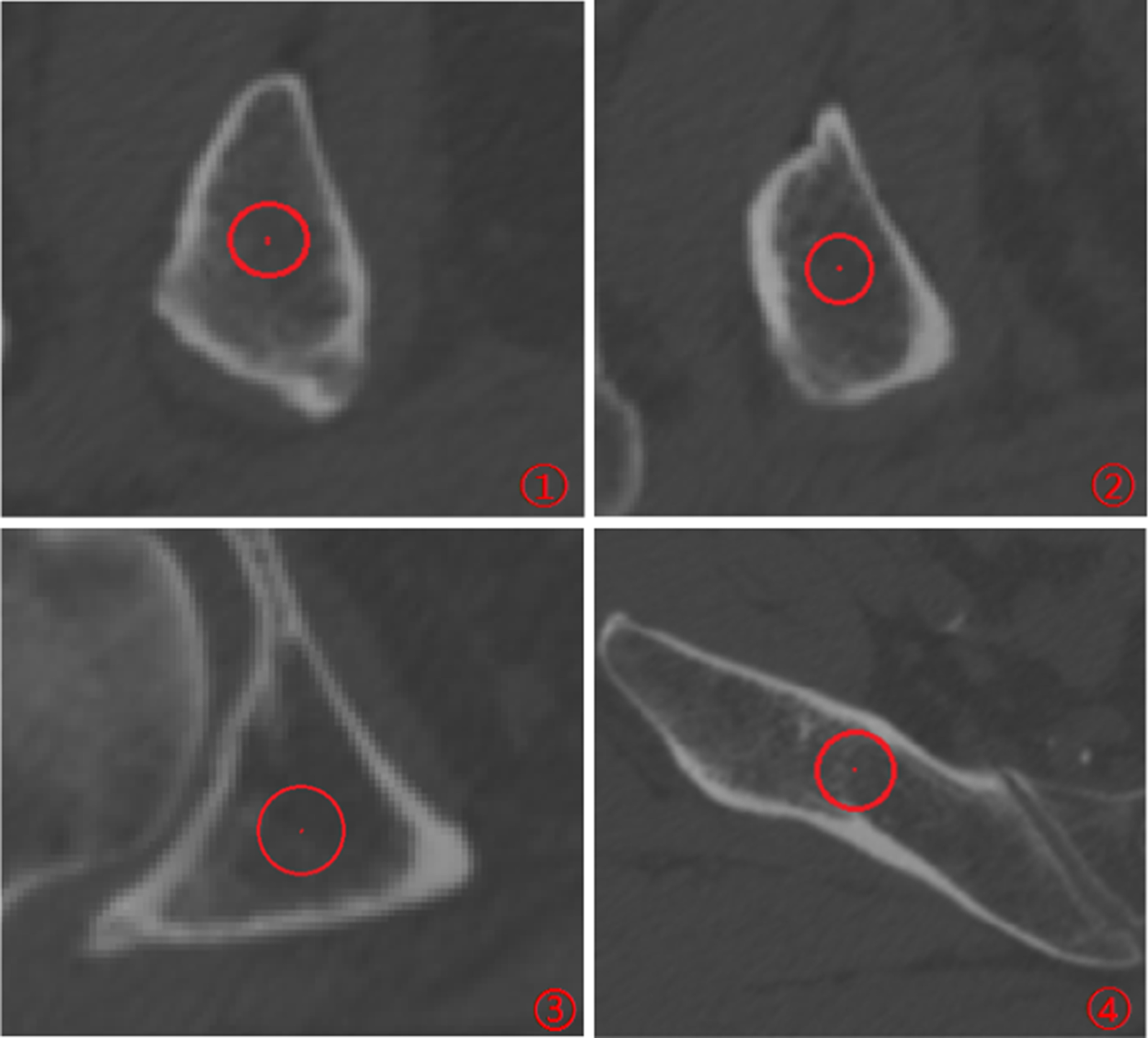 Fig. 5