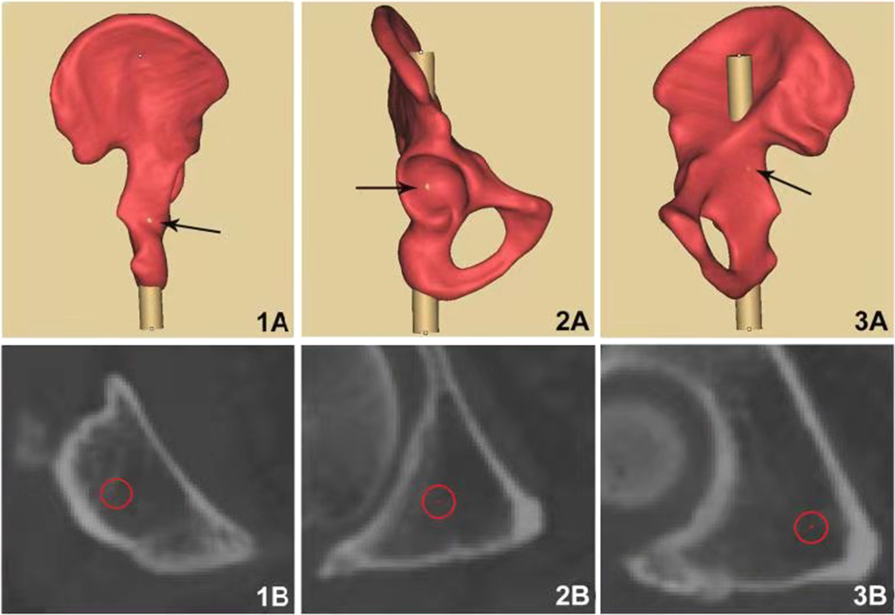 Fig. 6