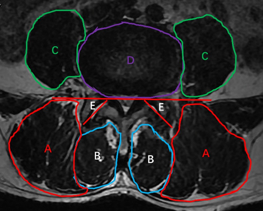 Fig. 5