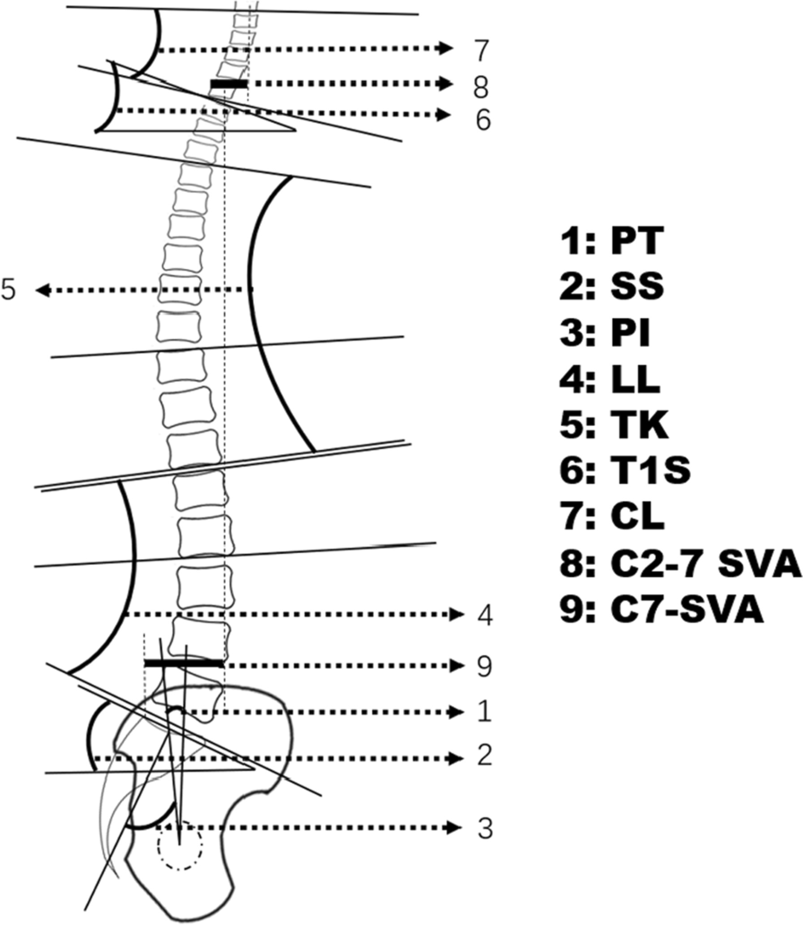 Fig. 1