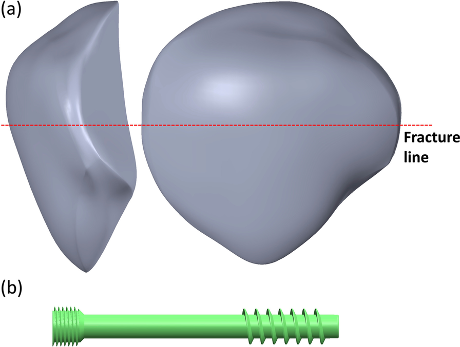 Fig. 1