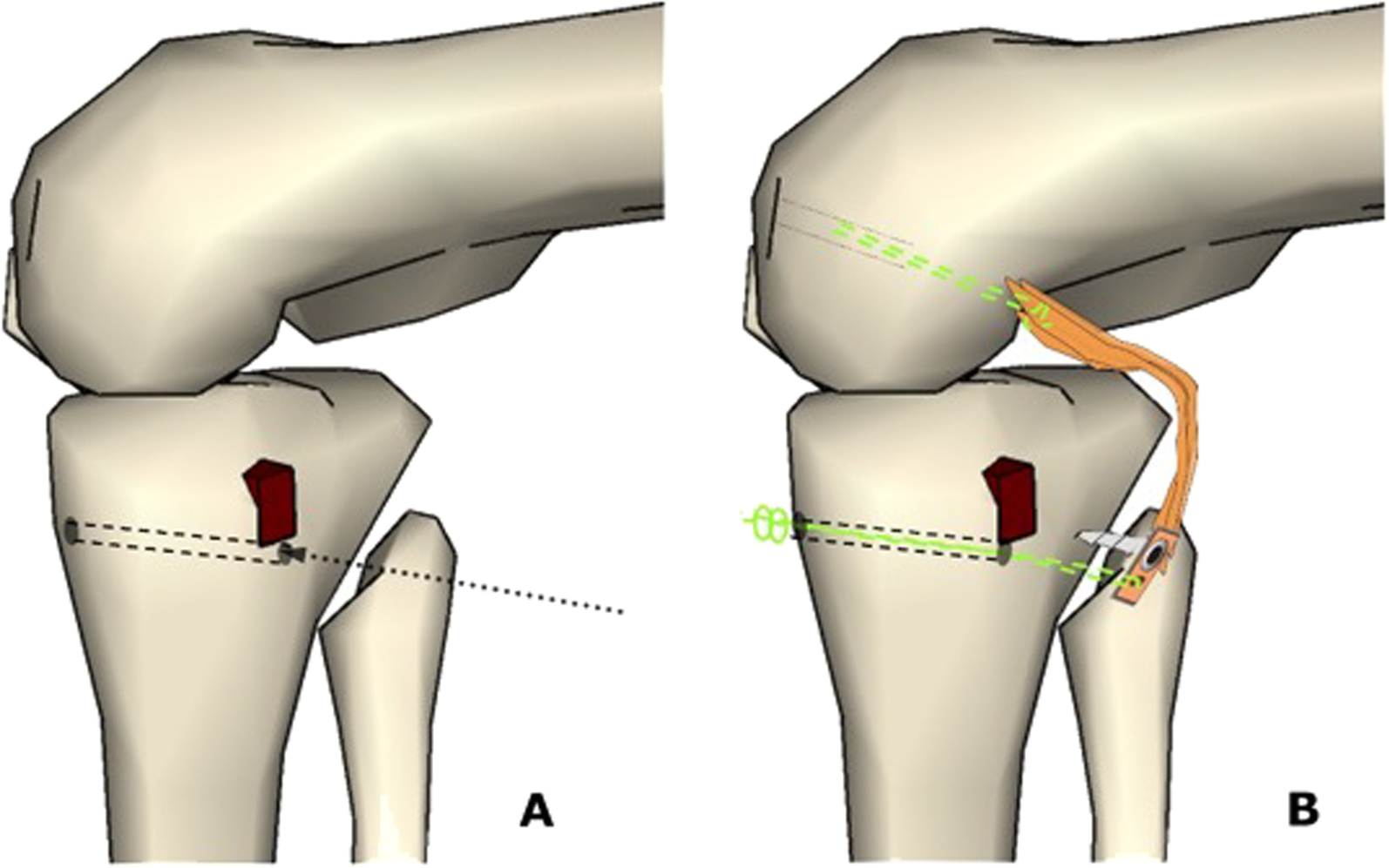 Fig. 8