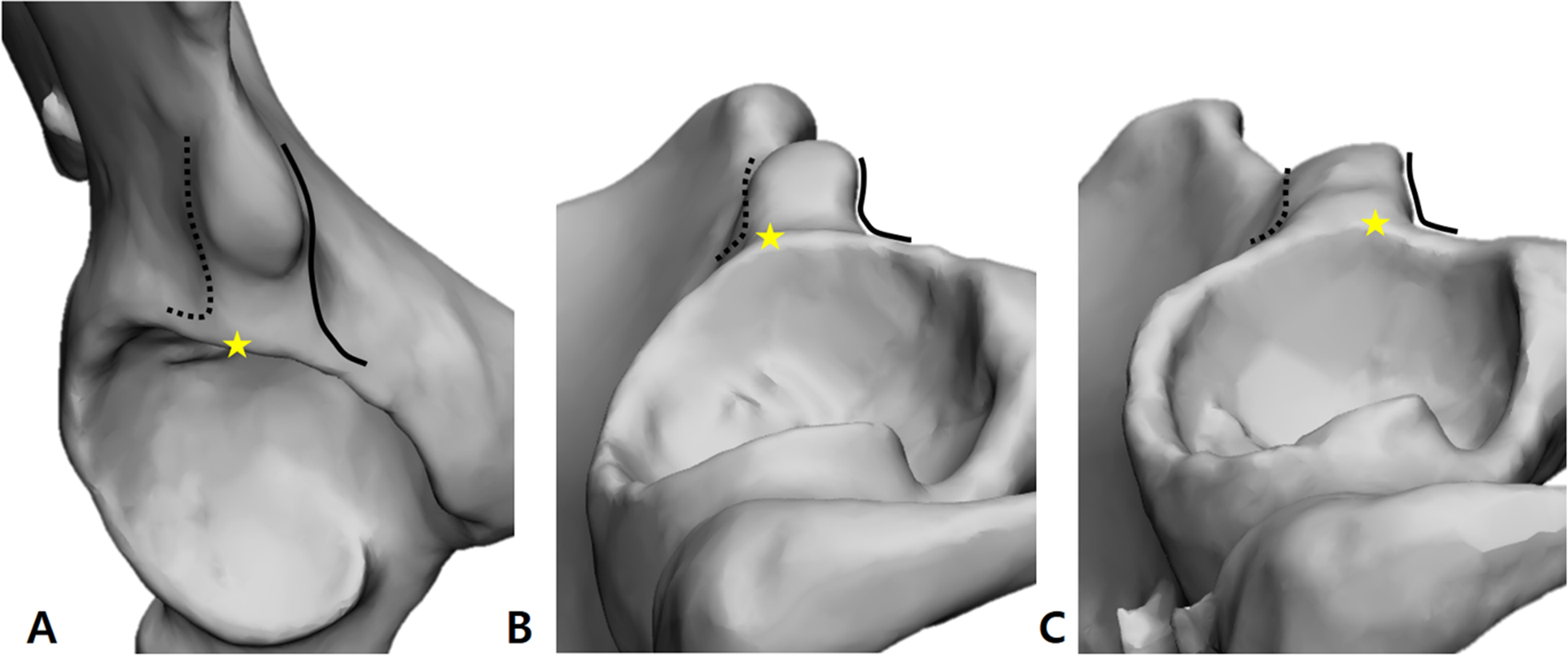 Fig. 3.