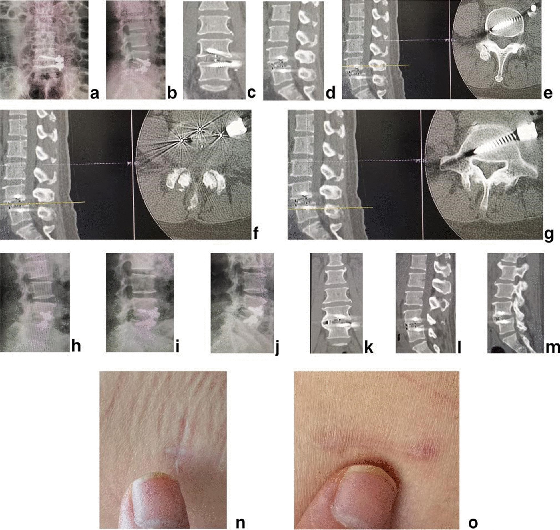 Fig. 5