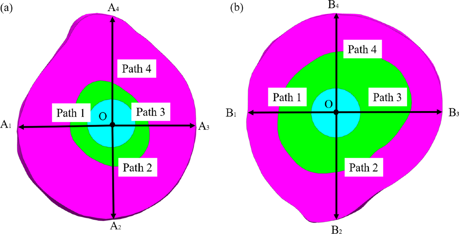 Fig. 5