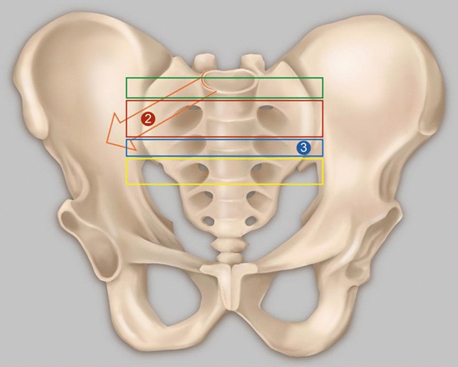 Fig. 5