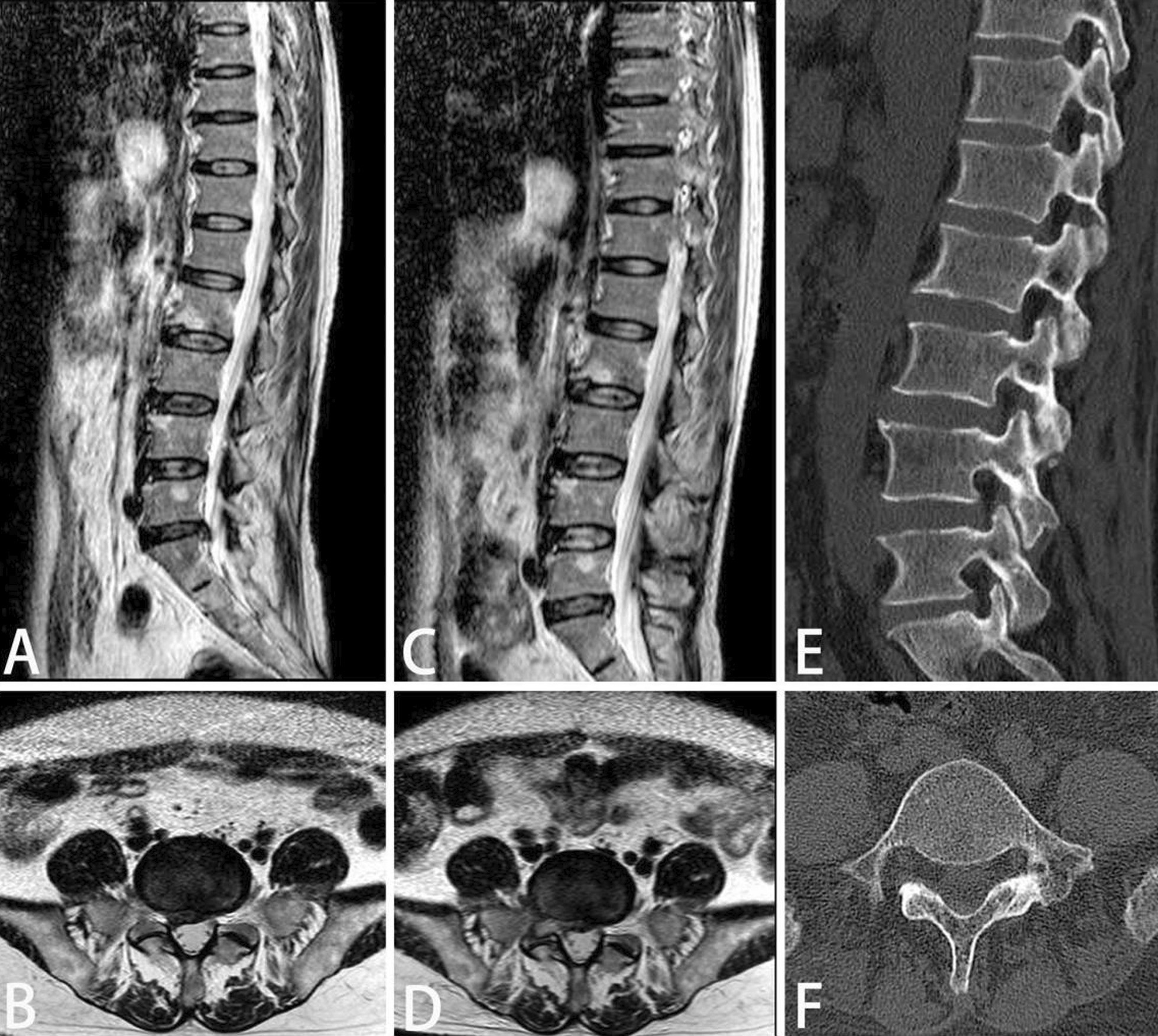 Fig. 5