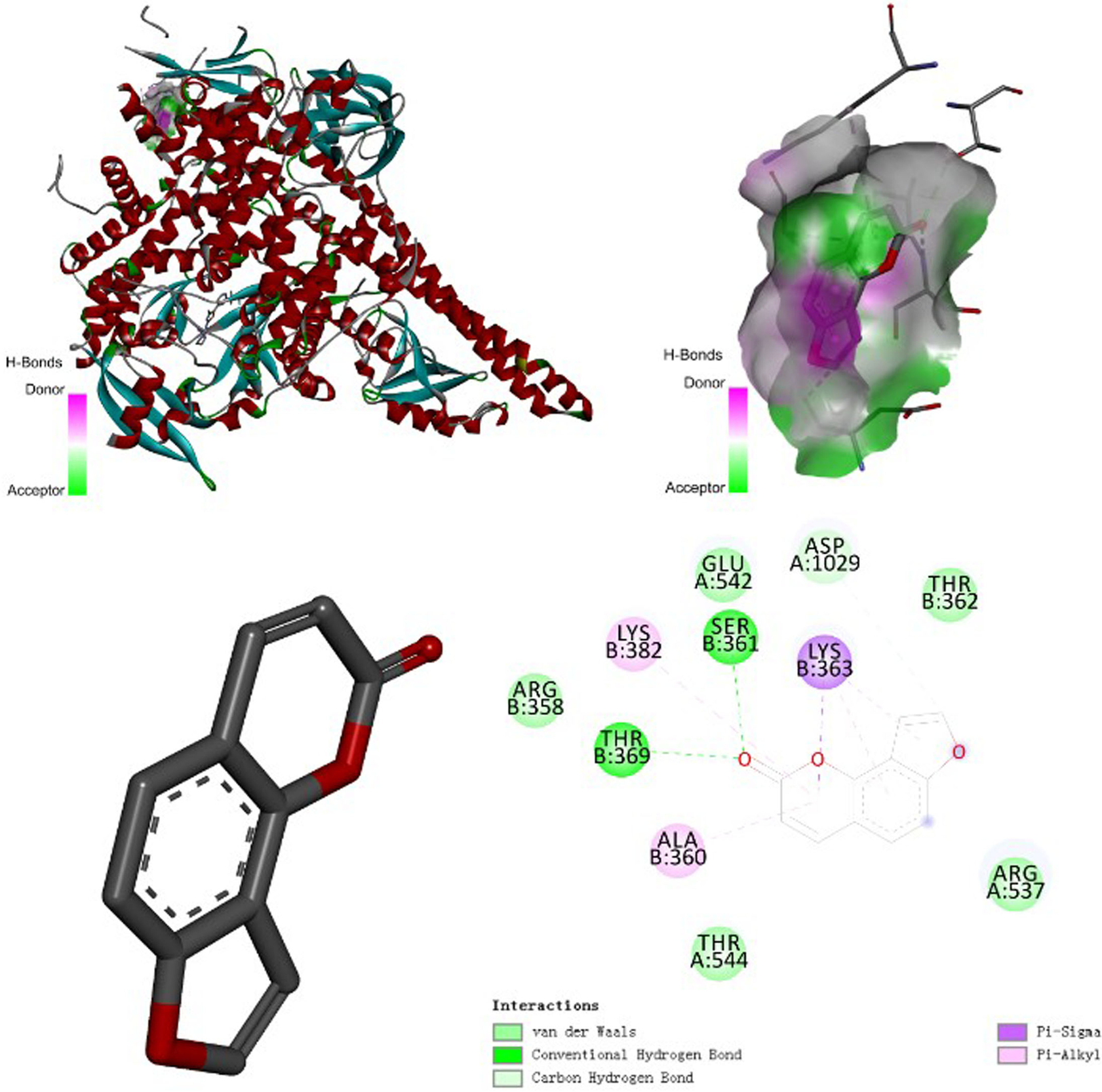 Fig. 11