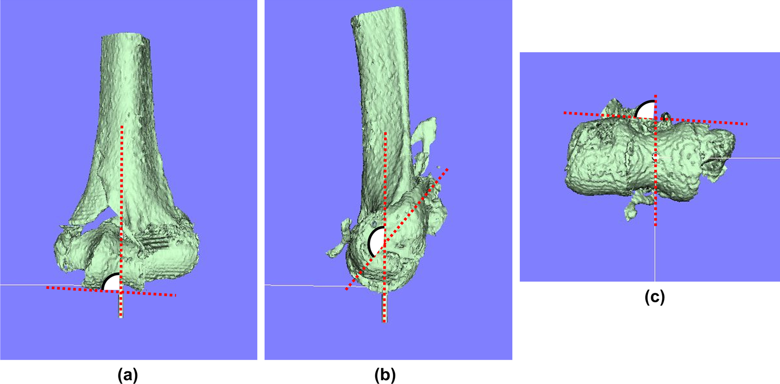 Fig. 3: