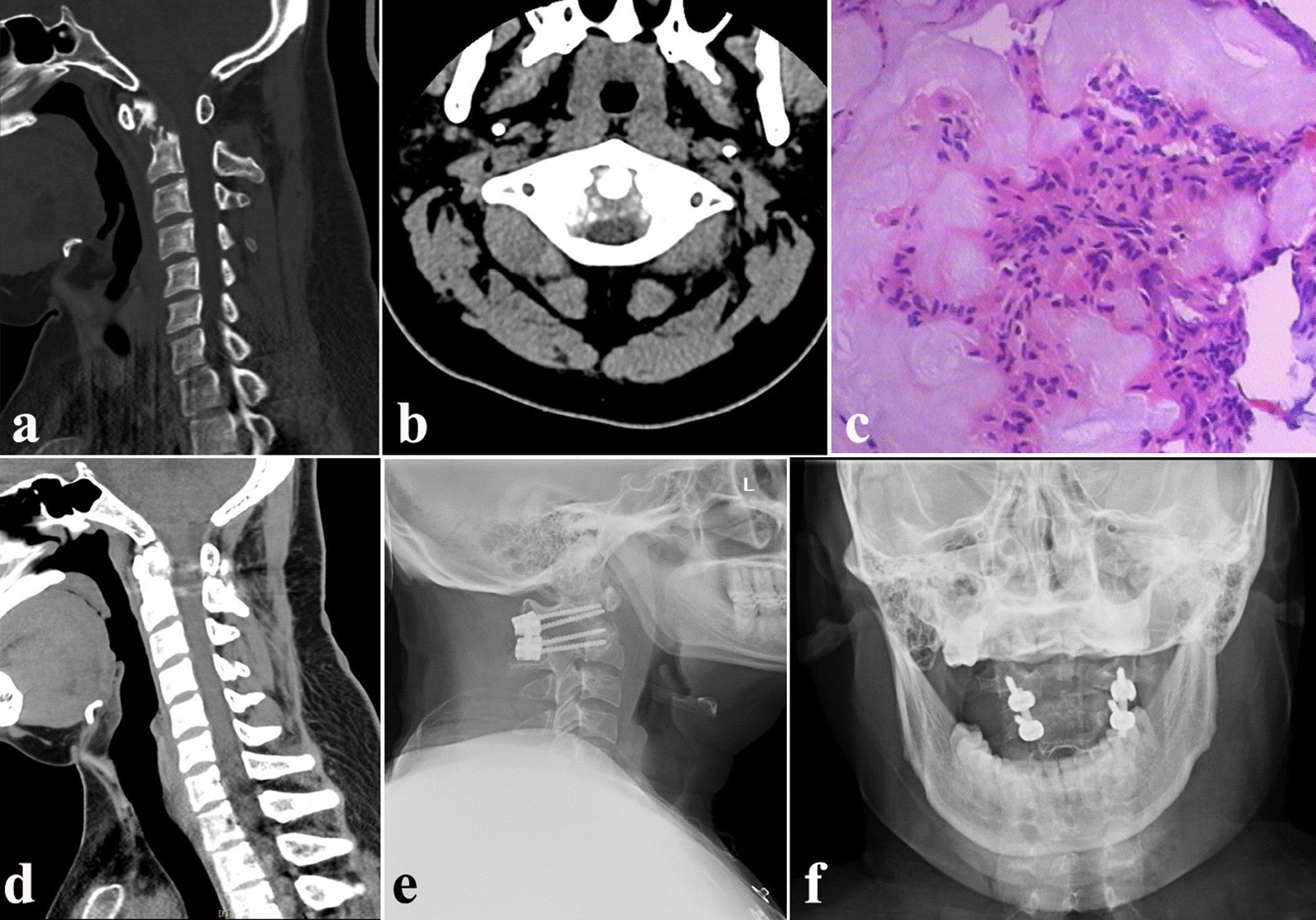 Fig. 3