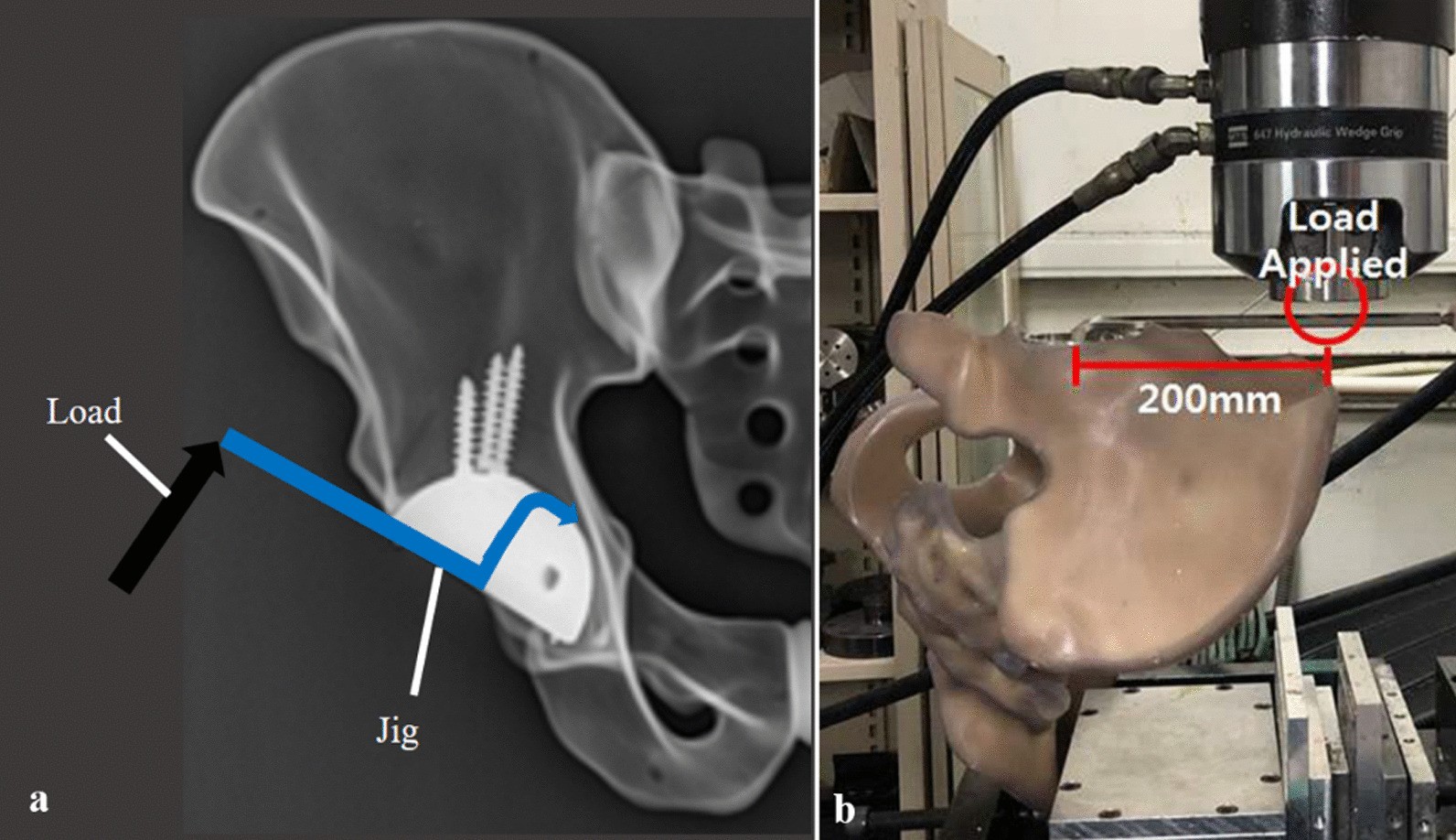 Fig. 5