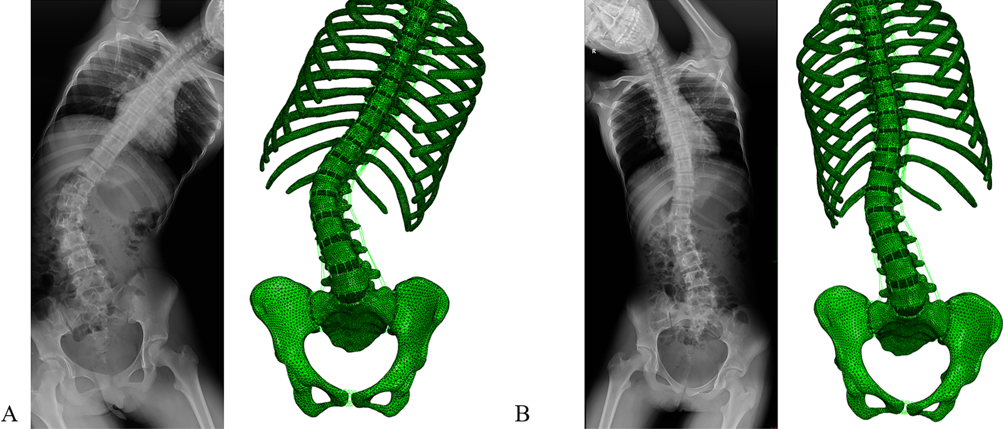 Fig. 7