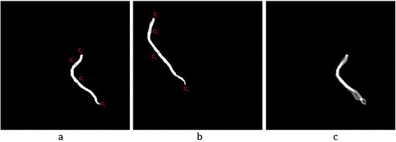 Figure 30