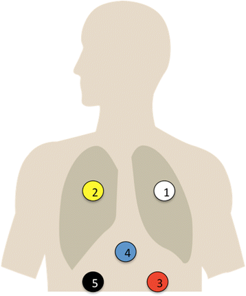 Fig. 1