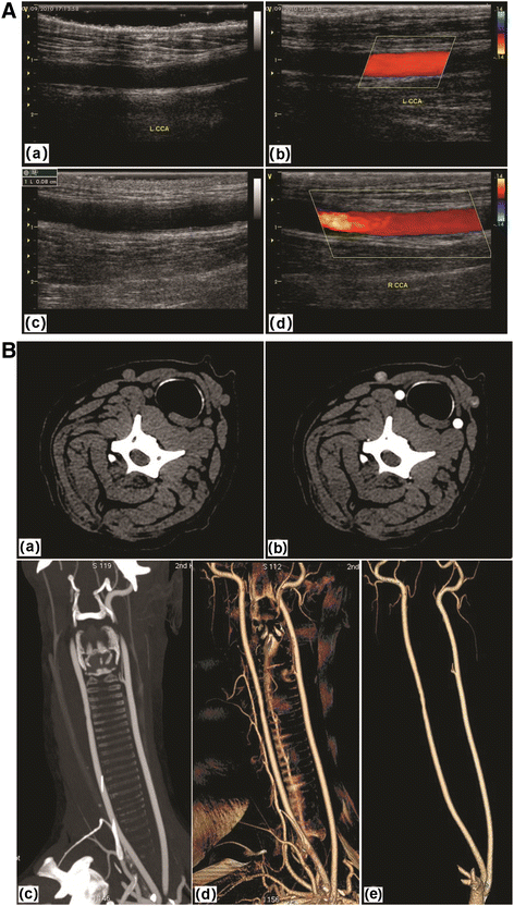 Fig. 5