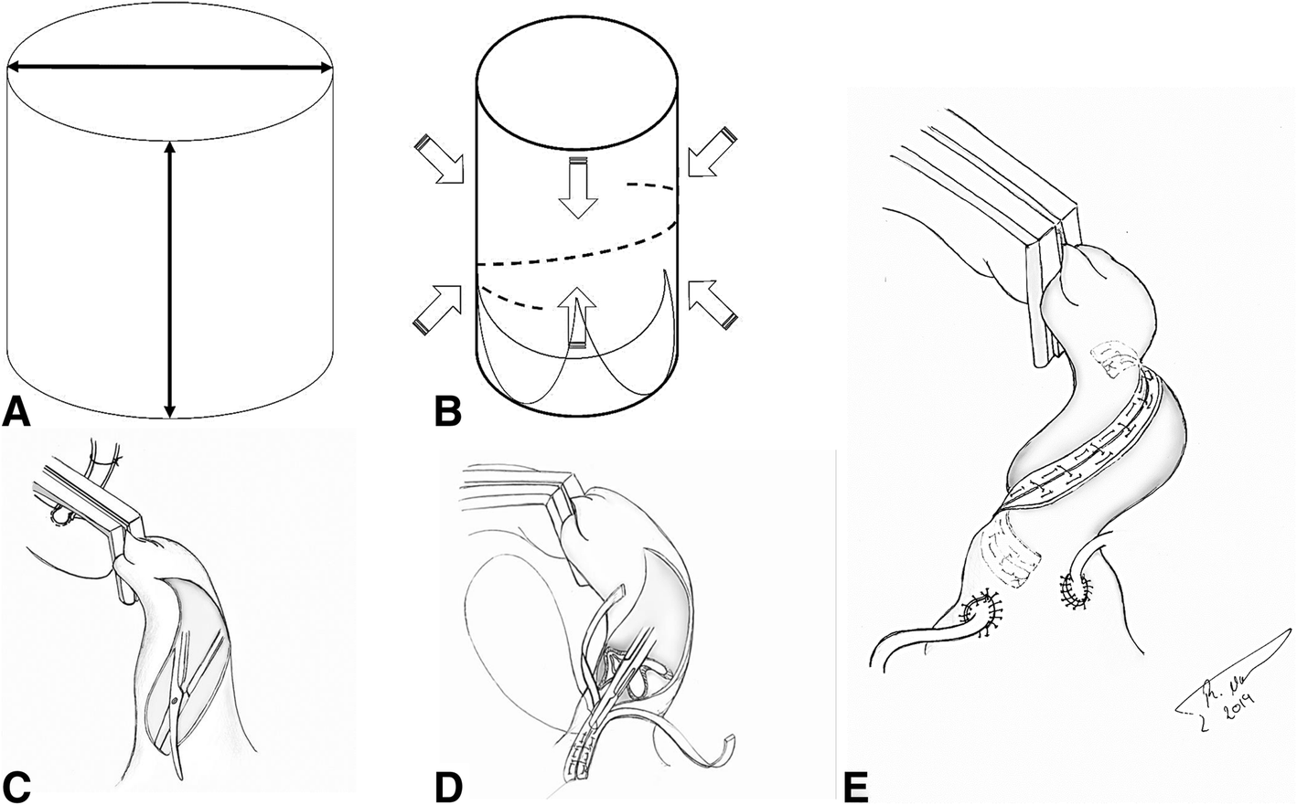 Fig. 1