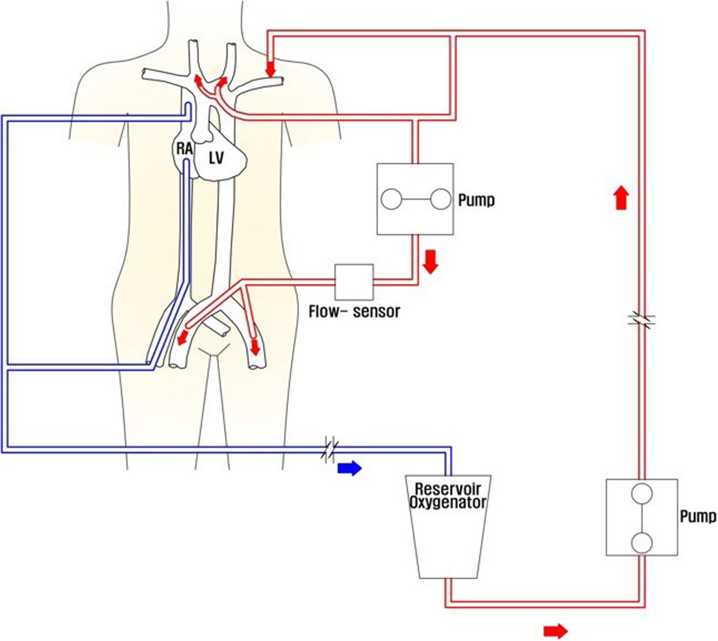 Fig. 2