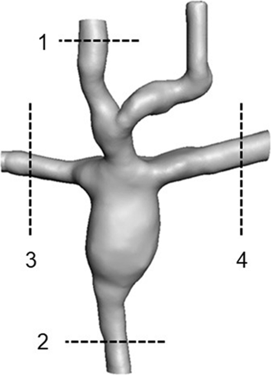 Fig. 5