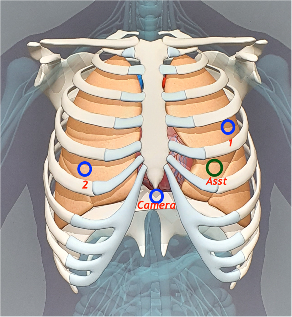 Fig. 4