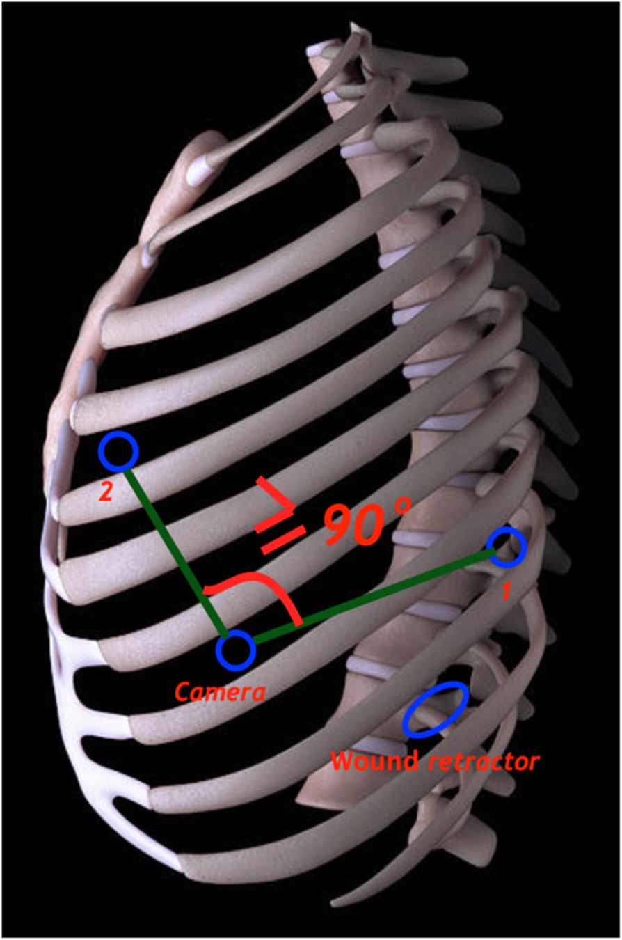 Fig. 5