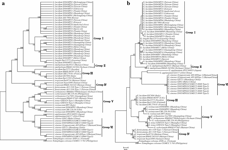 Fig. 3