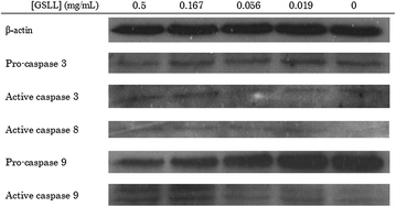 Fig. 6