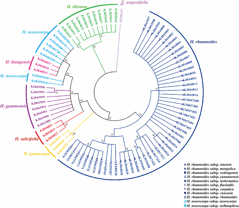 Fig. 4