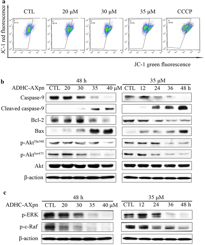 Fig. 6