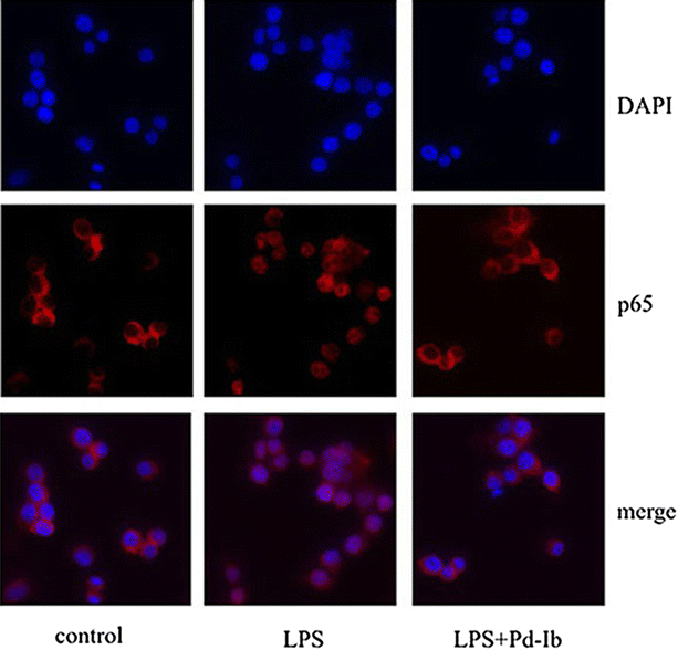 Fig. 4