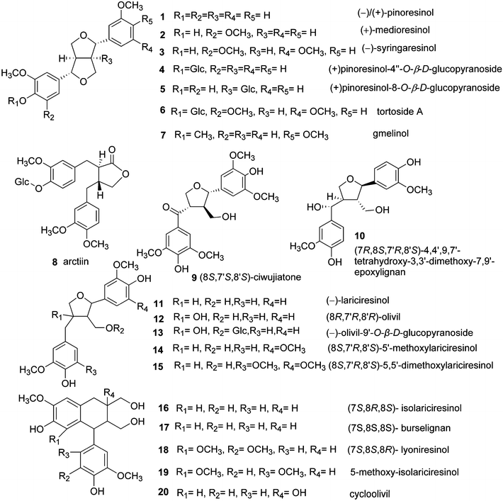 Fig. 3