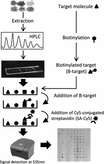 Fig. 1