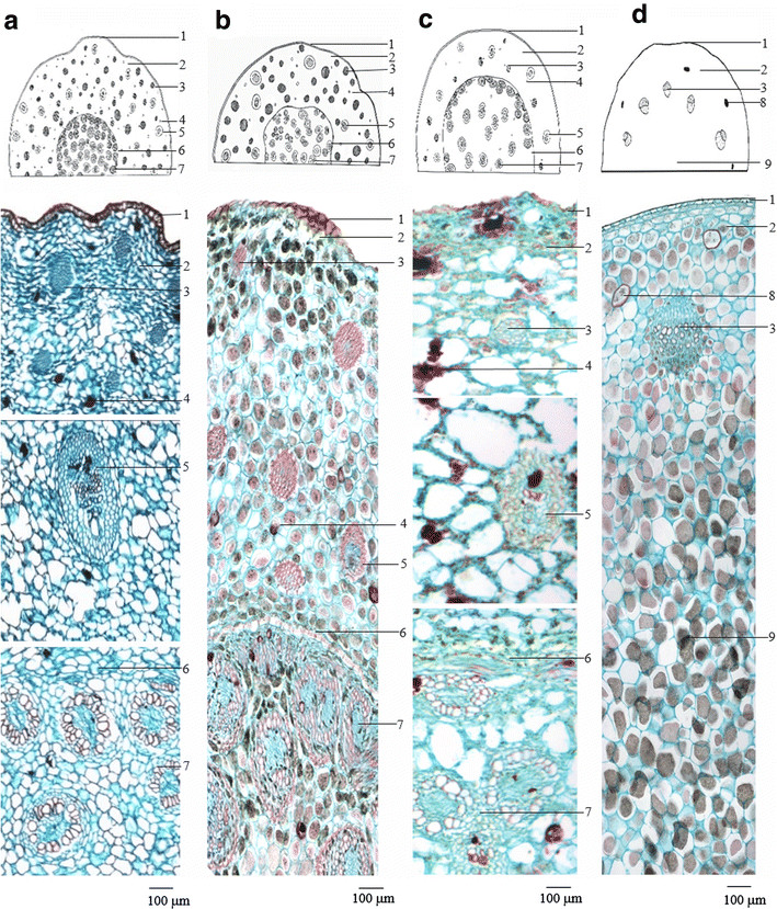 Fig. 2