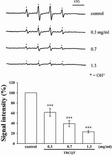 Fig. 6