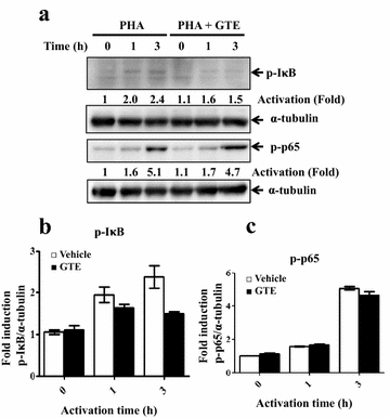 Fig. 3