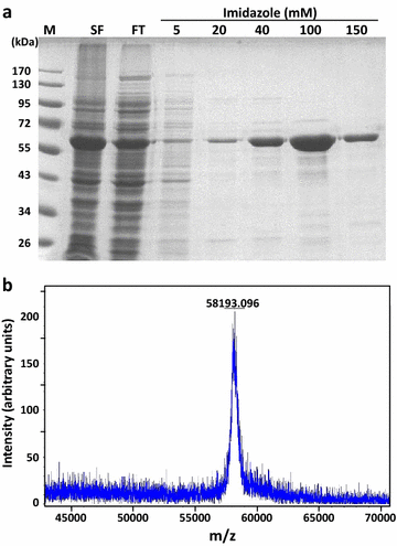 Fig. 1