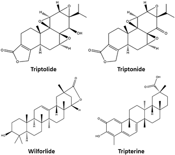 Fig. 1