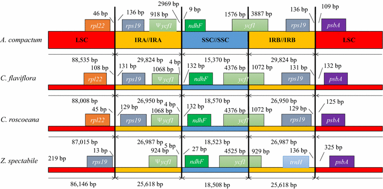 Fig. 2