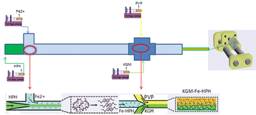 Fig. 1