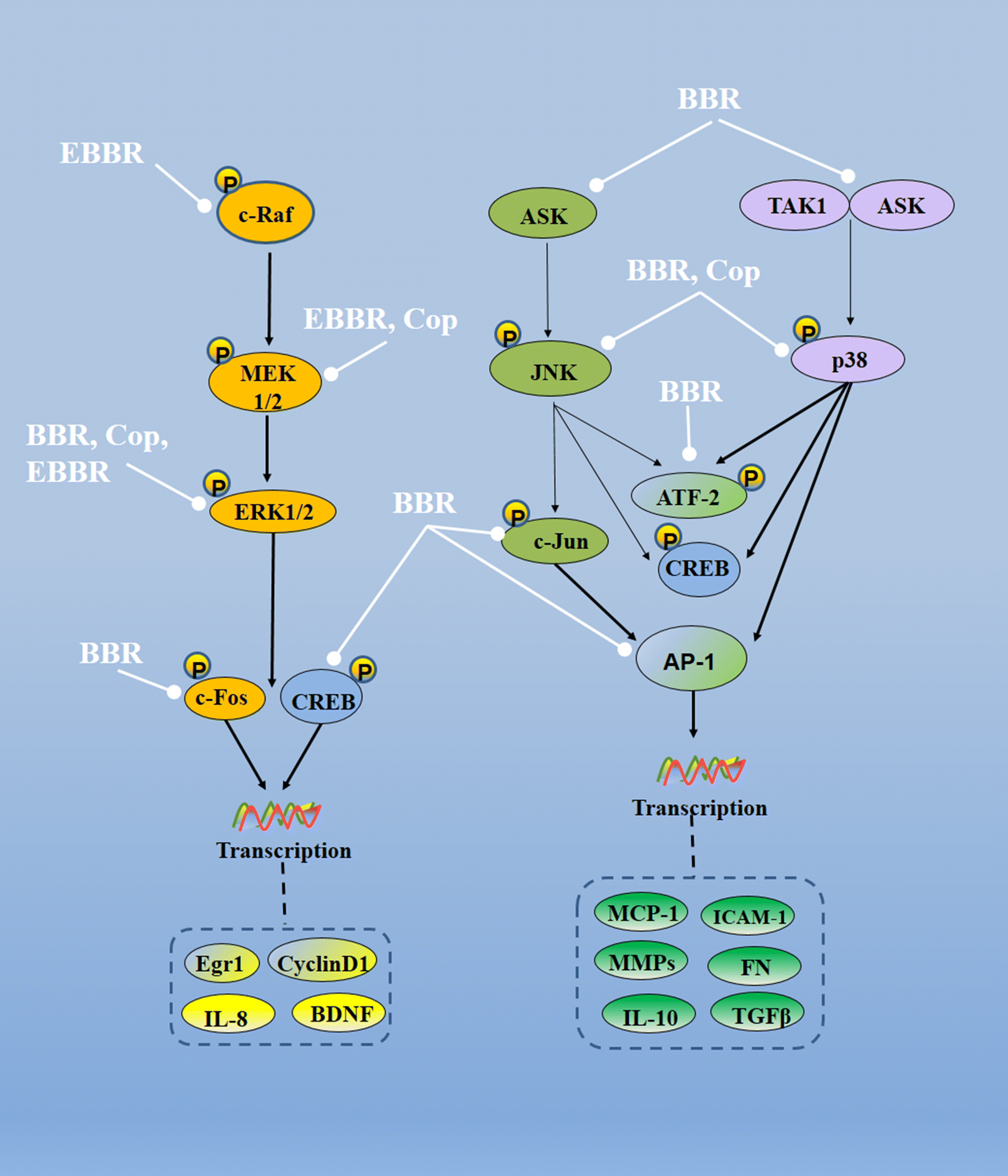 Fig. 3