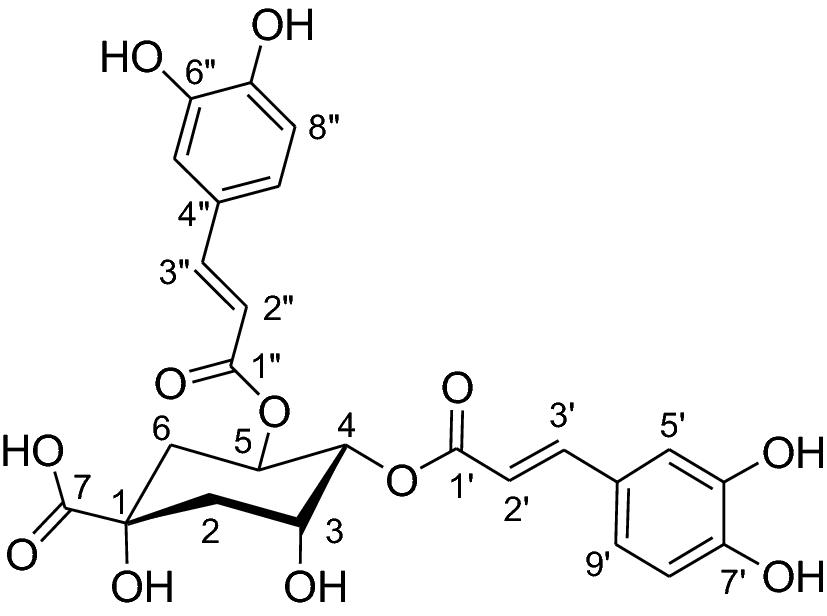 Fig. 1