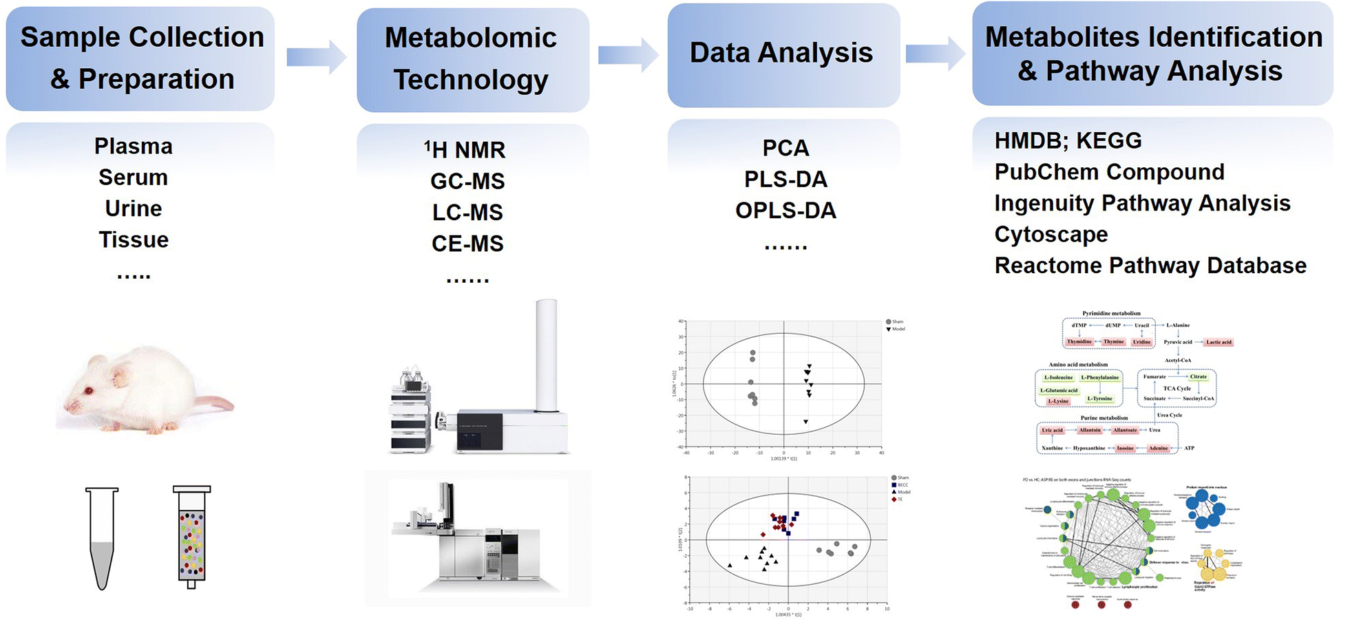 Sample collections. Sample collection. Metabolomic Analysis economic Analysis. NGS sequence big data. Urinary PH and risk urolithiasis.
