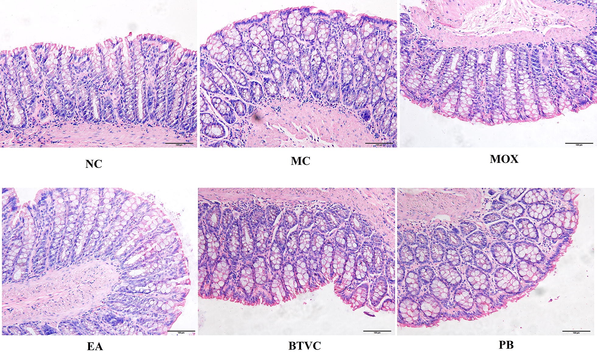 Fig. 2