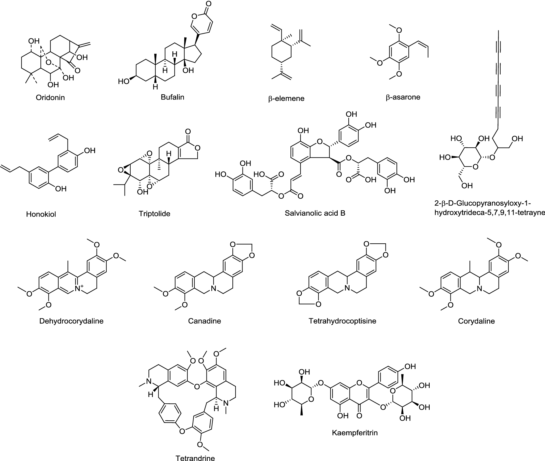 Fig. 2