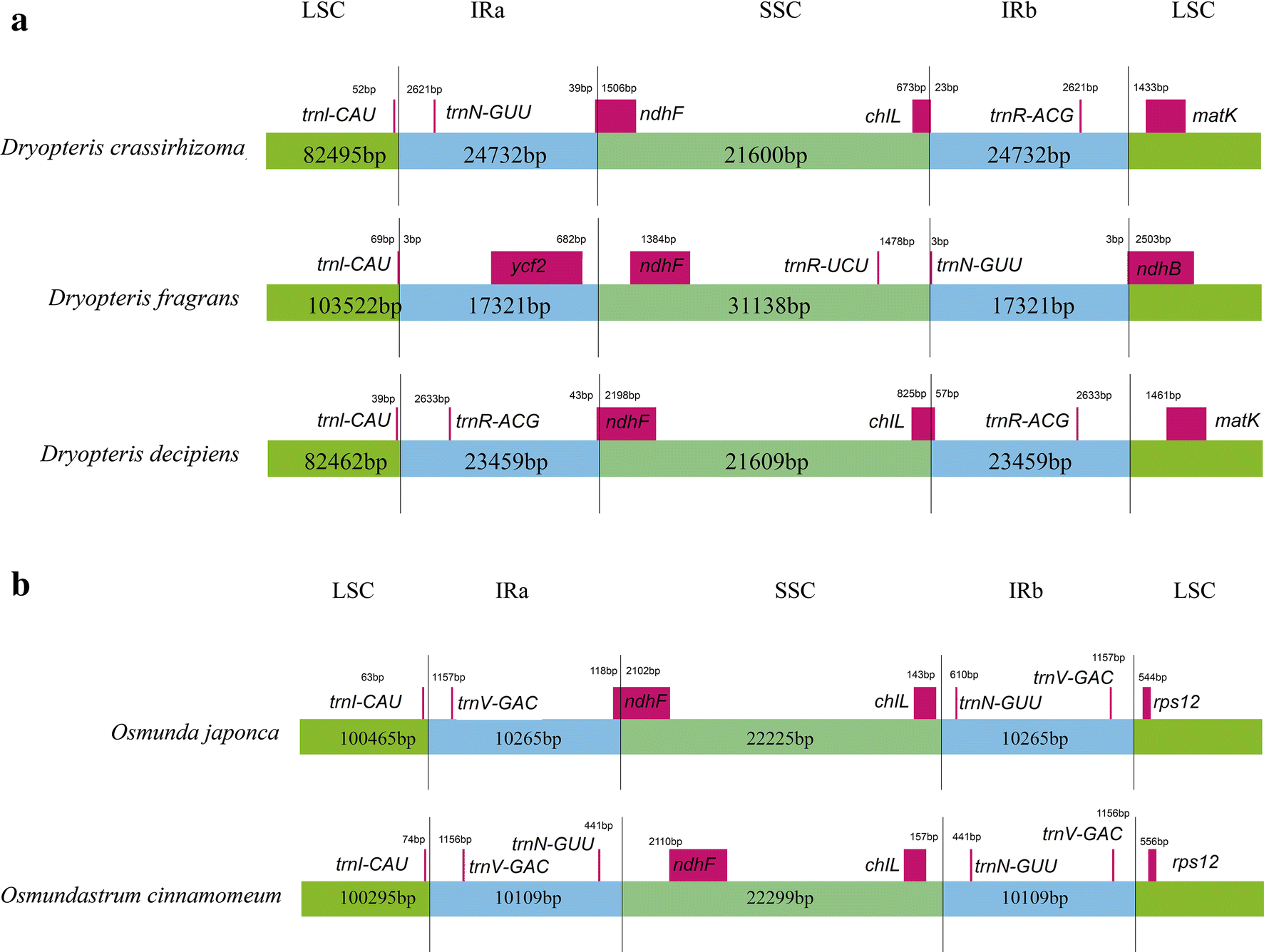 Fig. 4