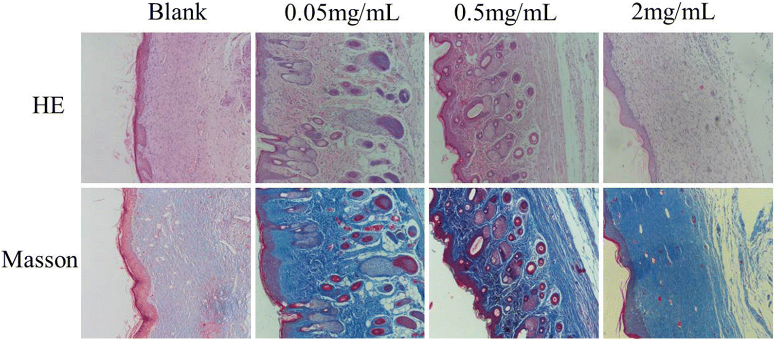 Fig. 7