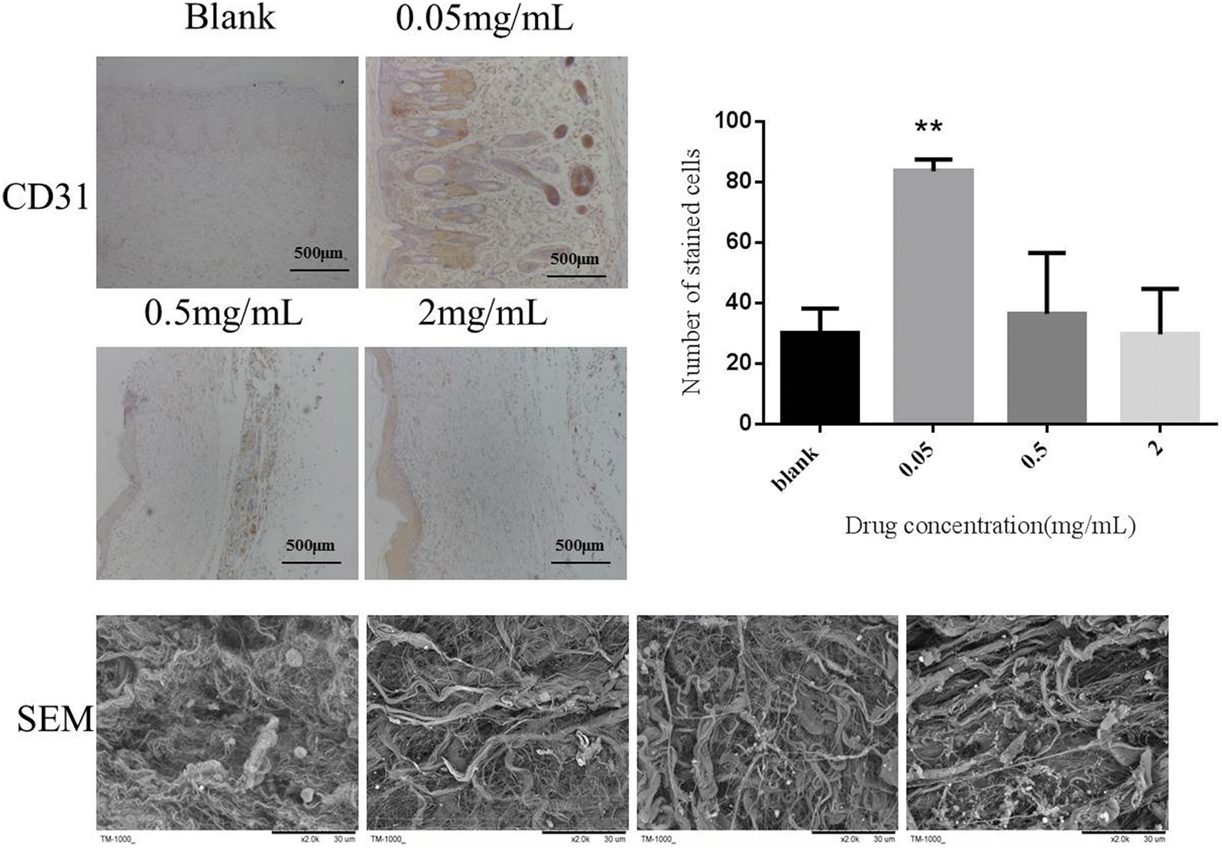 Fig. 8